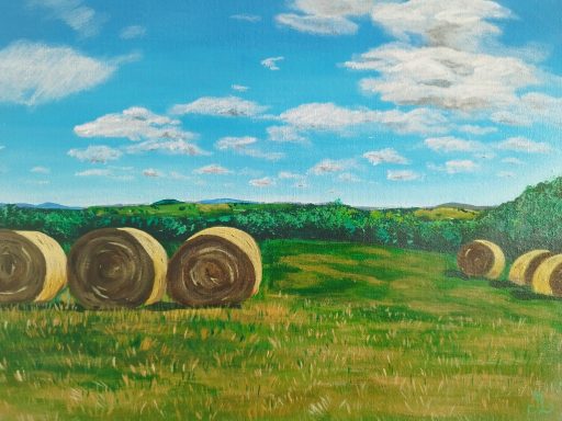 Blick von einer Wiese mit Heuballen ins Tal
