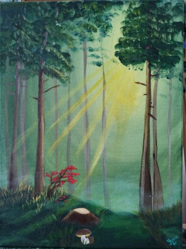 Wald im Licht